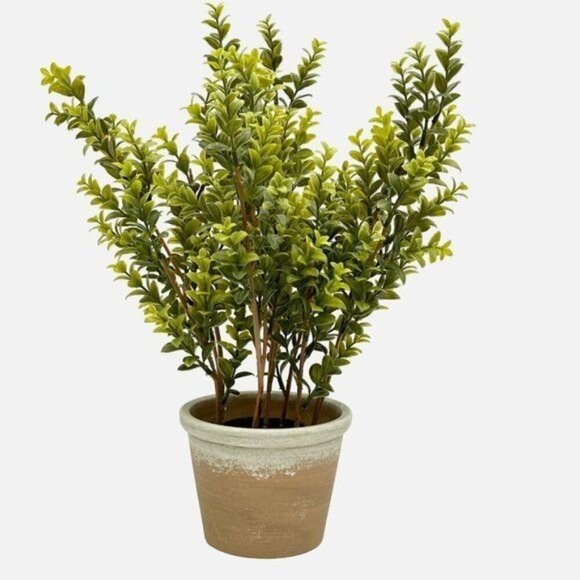 20” Faux Boxwood in Terracotta Pot Green - Threshold Studio McGee - Target 2022 - Picture 7 of 10